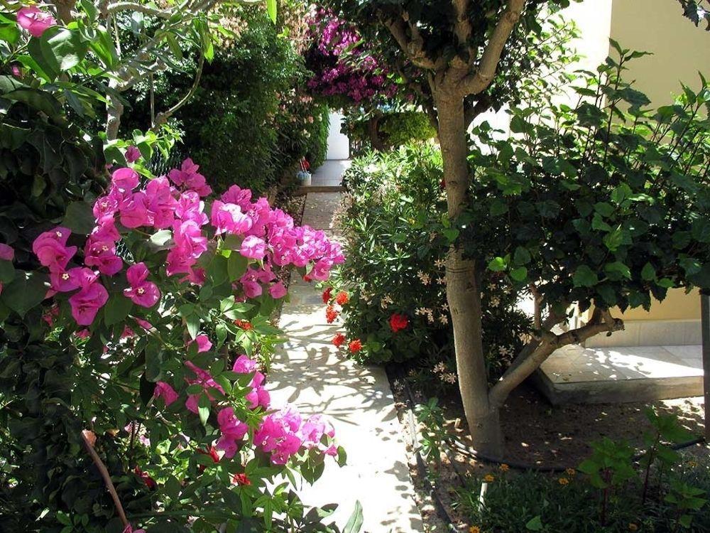 Rododafni Villas Klorakas Exteriér fotografie