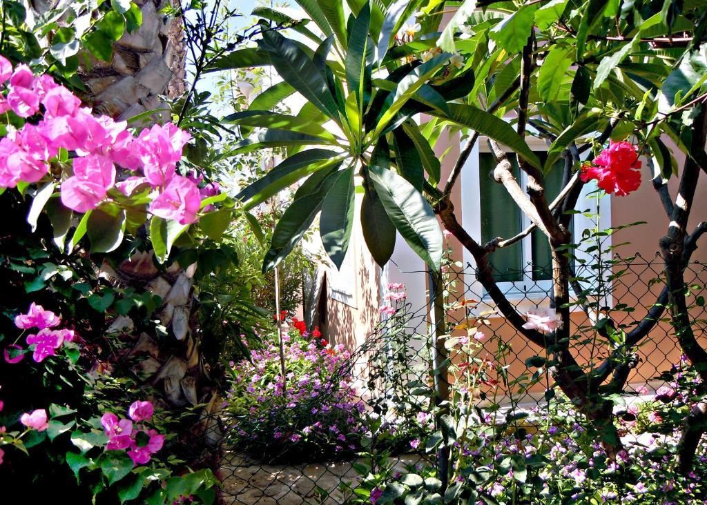 Rododafni Villas Klorakas Exteriér fotografie
