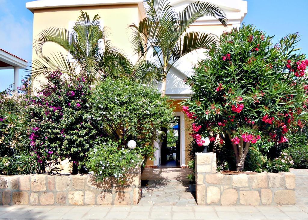 Rododafni Villas Klorakas Pokoj fotografie