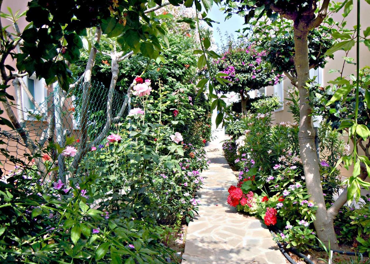 Rododafni Villas Klorakas Exteriér fotografie